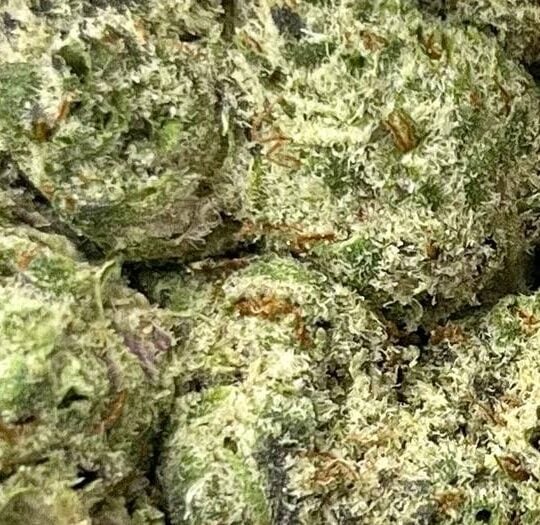 Oreoz Big