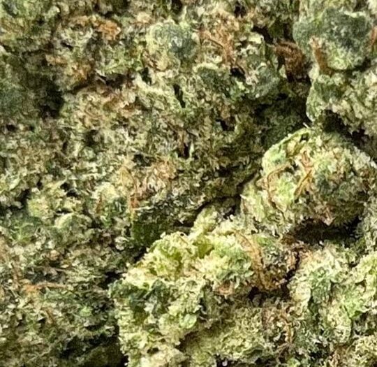 Kandy Kush Big