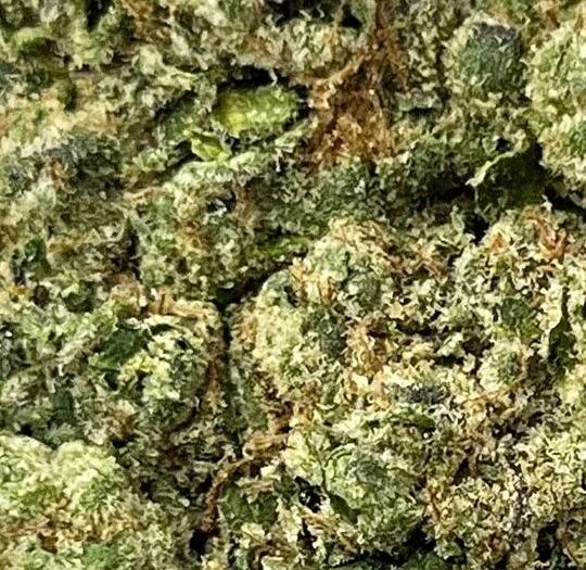 Kandy Kush Big