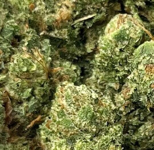GG4 Big