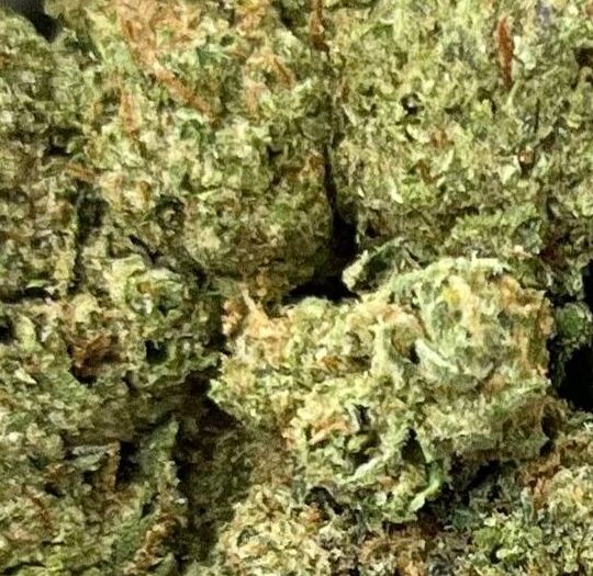Lemon Cherry Gelato Big