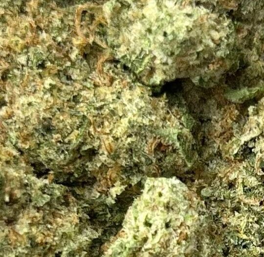 Jealosuy x Kush Mintz Big