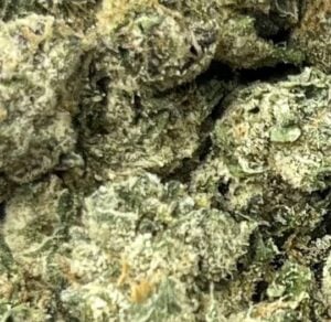 Cherry Glow Big