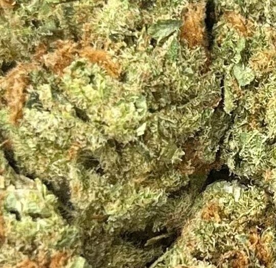 Super Silver Haze Big
