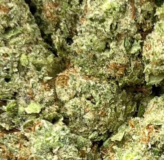 Cherry Punch Big