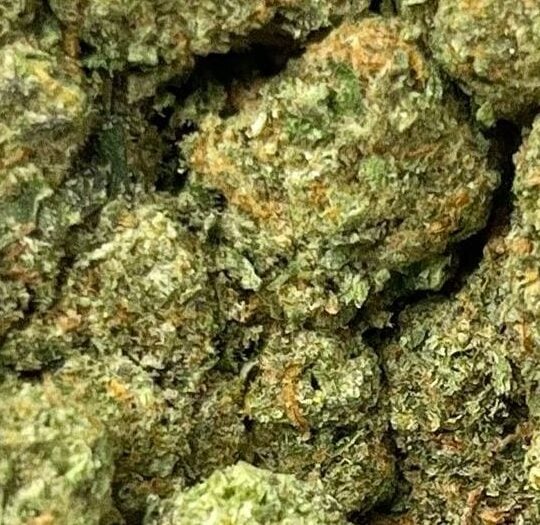 Lemon Cherry Gelato Big