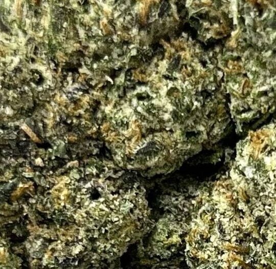 Dark Cherry Runtz Big