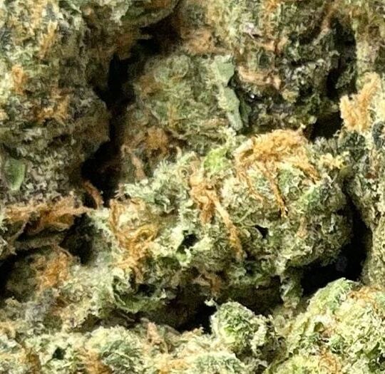 Zoap Cream Big