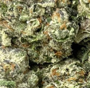 Platinum Lemon Gushers Big