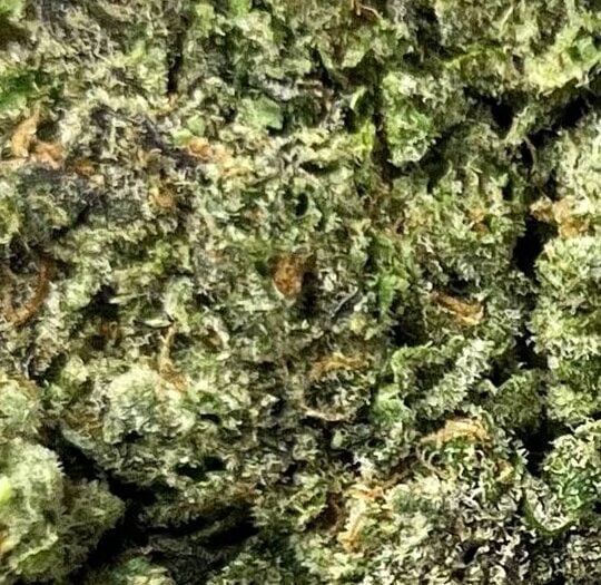 Crumble Pack Big