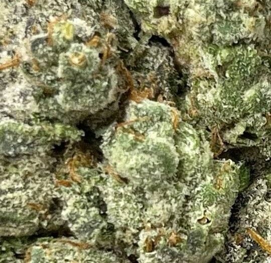 Grape Diesel Big