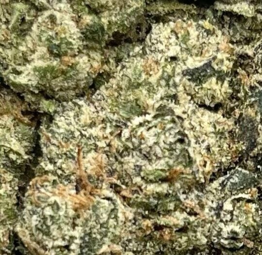 Frosted Runtz Big