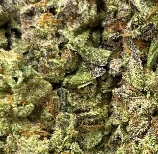Tangie Big