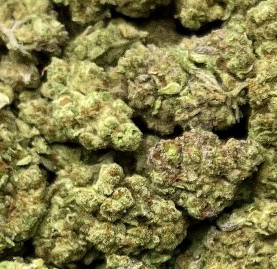 Zkittlez Big