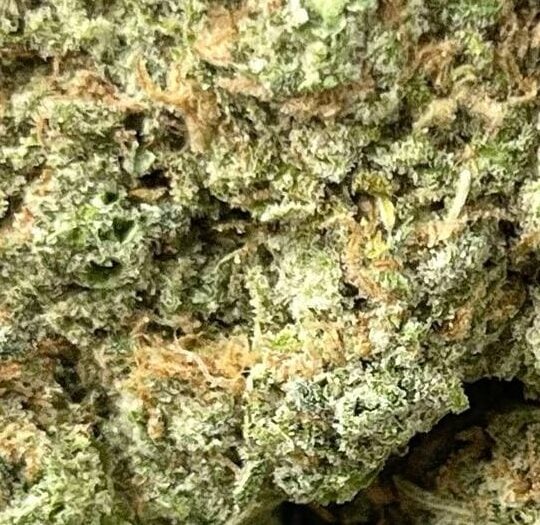 Blue Dream Big
