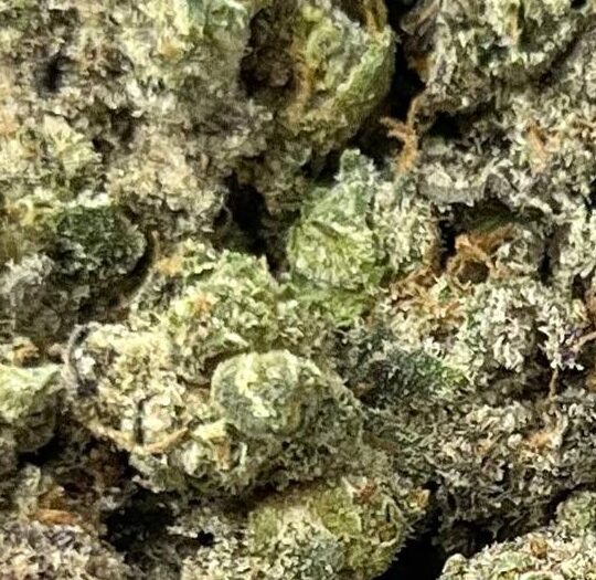 Blacktop Gelato Big