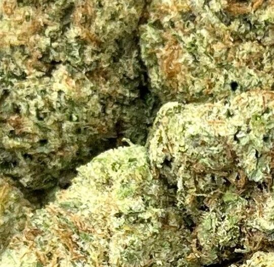 Jealousy x Kush Mintz Big