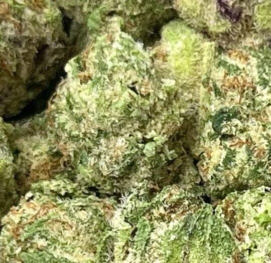 Runtz x Alien Mints Small