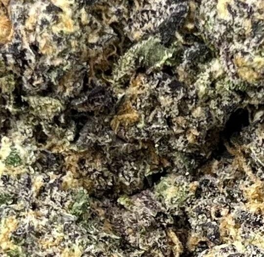 Grape Gas Big