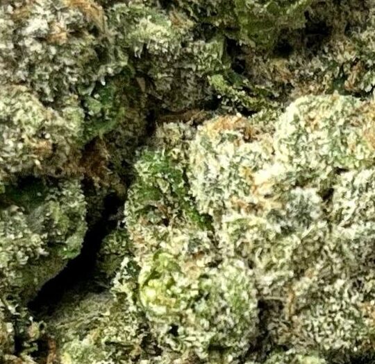 Lemon Berry Big