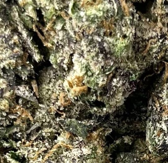 Purple Rain Big