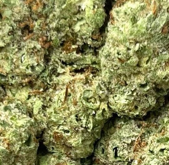 Cherry Punch Big