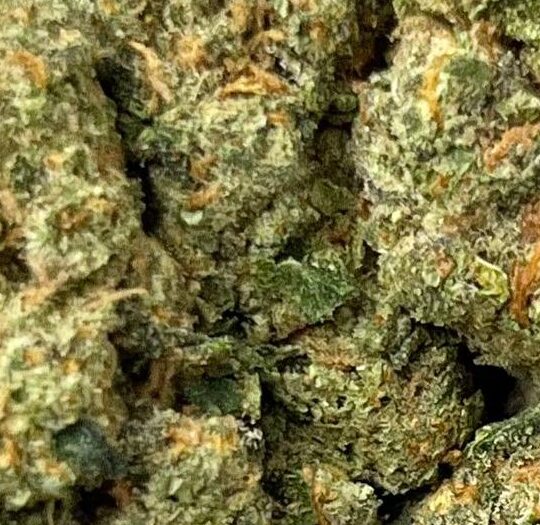 Lemon Cherry Gelato Big