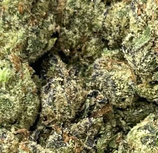 Frosted Runtz Big