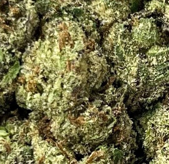 Super Lemon Big