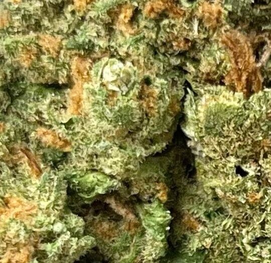 Super Silver Haze Big