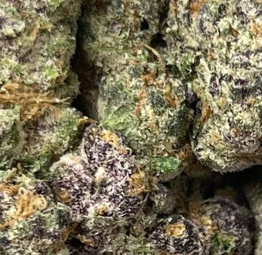 Blockberry Big