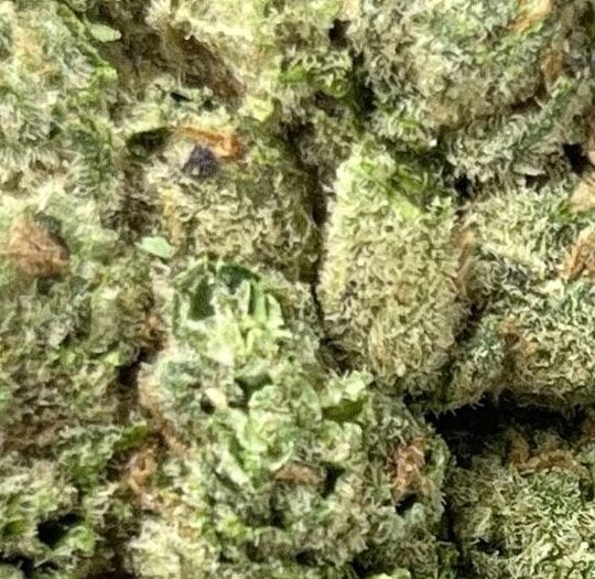 Cherry Cookies Big