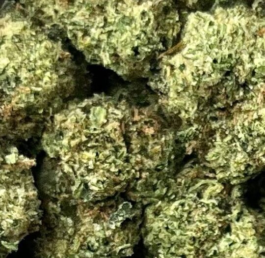 Lemon Cherry Gelato Big